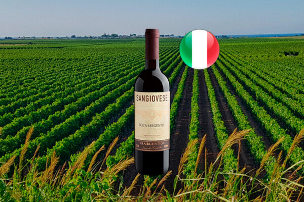 Duca Sargento Sangiovese 2021 - Thumbnail