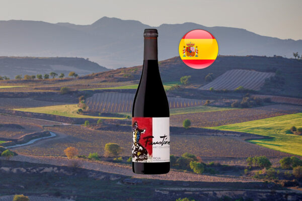 Faustino Art Collection Reserva Rioja 2018 - Thumbnail