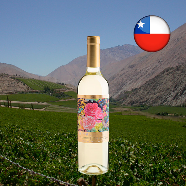 Floresta Winemaker Selection Sauvignon Blanc - Oferta