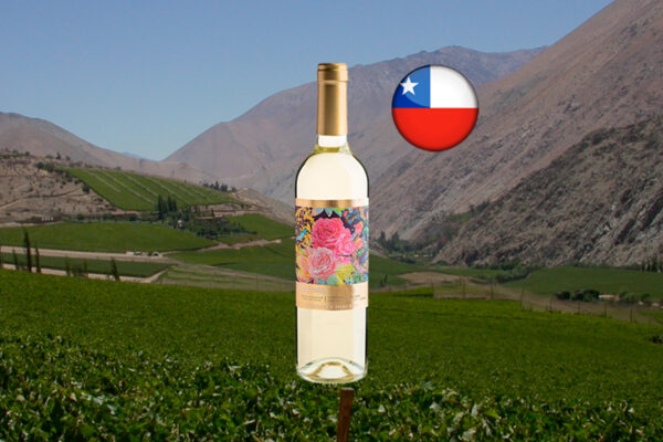 Floresta Winemaker Selection Sauvignon Blanc Thumbnail