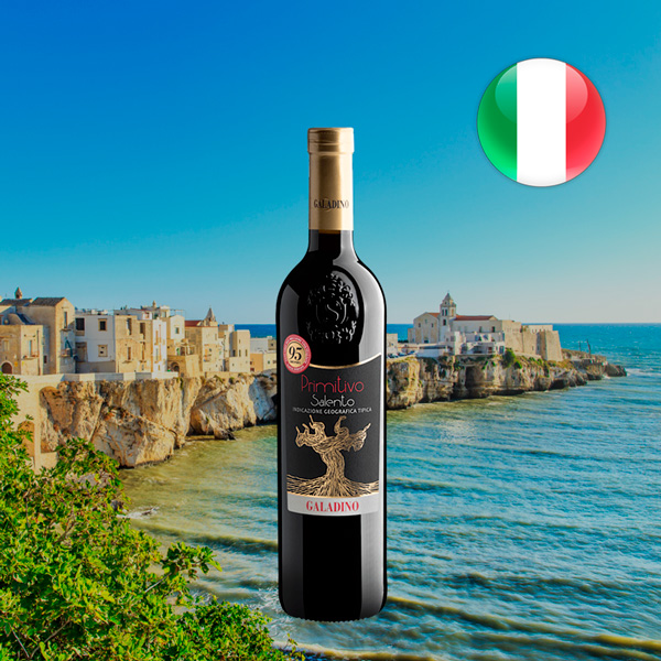 Galadino Primitivo Salento IGT 2024 - Oferta