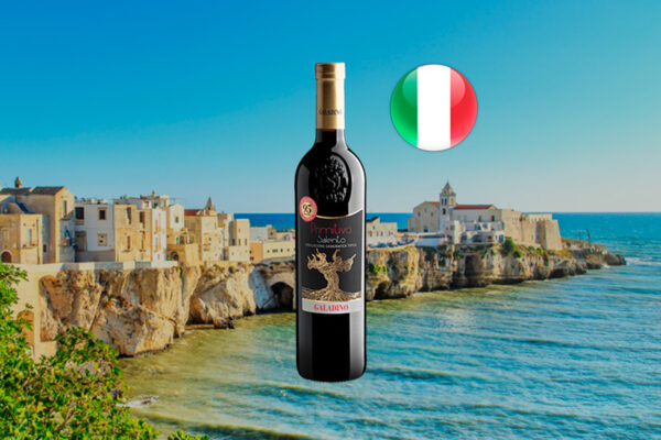 Galadino Primitivo Salento IGT 2024 - Thumbnail