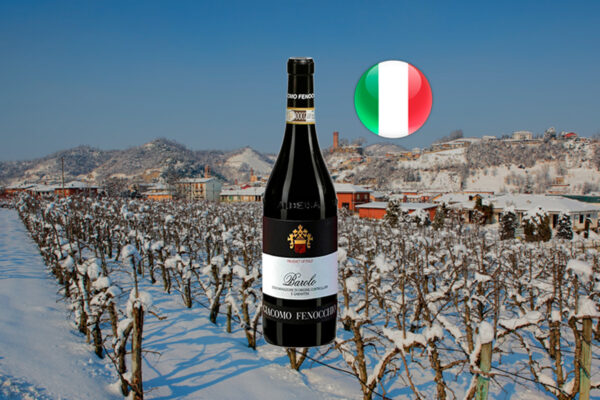 Giacomo Fenocchio Barolo Bussia 2020 - Thumbnail