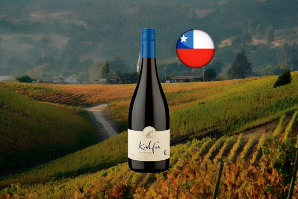 Kalfu Sumpai Pinot Noir 2023 - Thumbnail