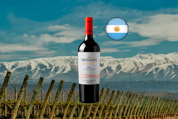 Los Médanos Oak Collection Malbec 2020 - Thumbnail