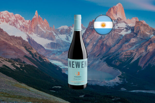 Newen Patagonia Pinot Noir - Thumbnail