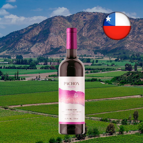 Pachon Carmenere 2024 - Oferta
