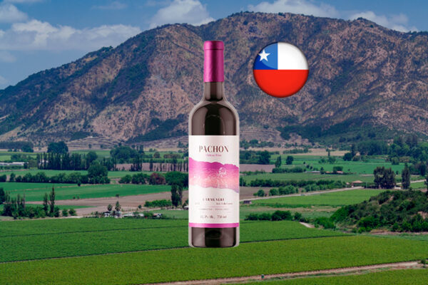 Pachon Carmenere 2024 - Thumbnail
