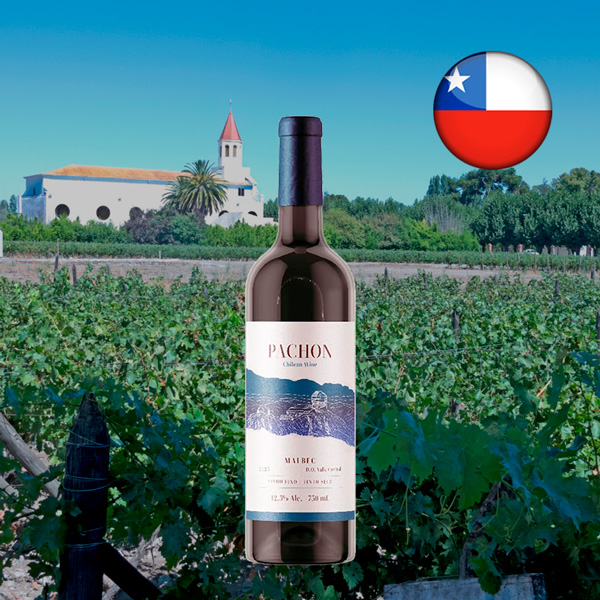 Pachon Malbec 2024 - Oferta