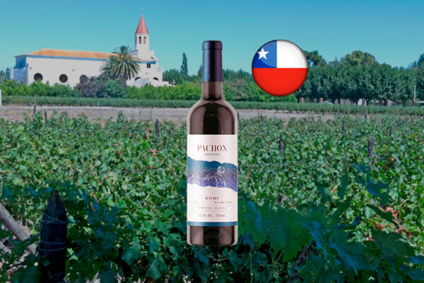 Pachon Malbec 2024 - Thumbnail