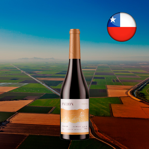 Pachon Viognier 2024 - Oferta
