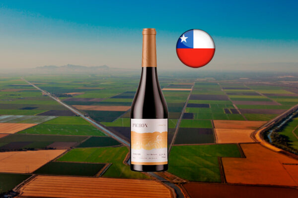 Pachon Viognier 2024 - Thumbnail