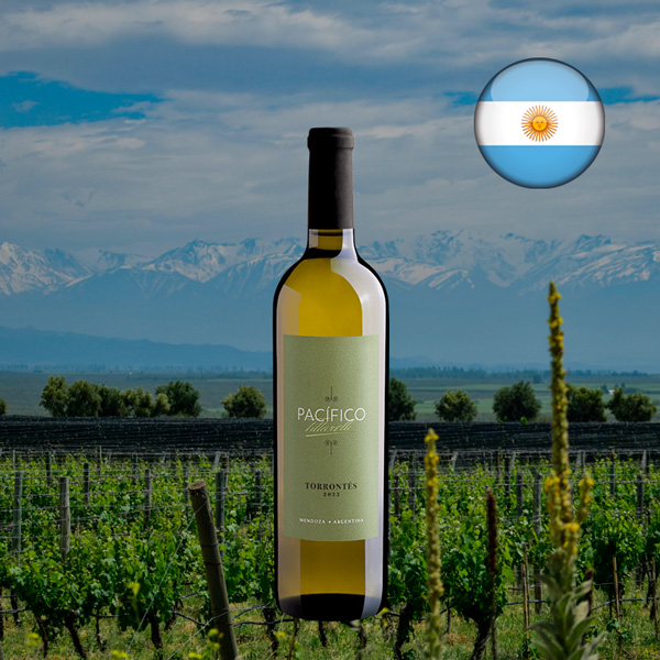 Pacífico Tittarelli Torrontés 2022 - Oferta