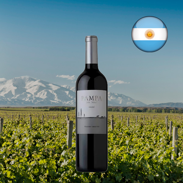 Pampa del Sebo Malbec 2022 - Oferta