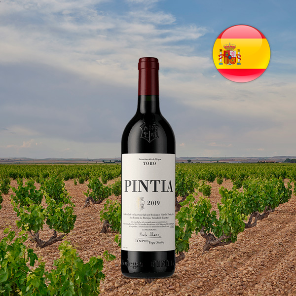 Pintia 2019 - Oferta