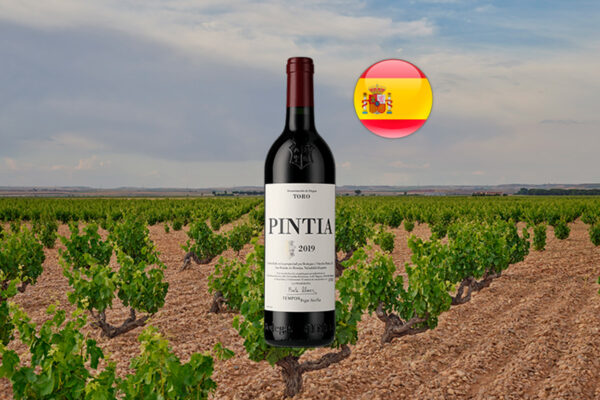 Pintia 2019 - Thumbnail