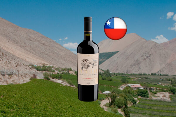Pioneers Reserva Cabernet Sauvignon Valle Central DO - Thumbnail