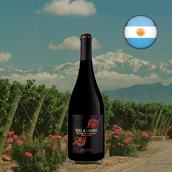 Renacer Milamore - Oferta
