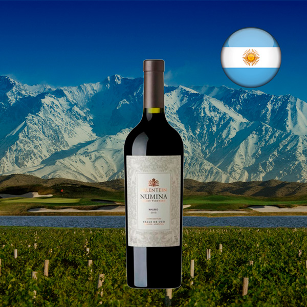 Salentein Numina Malbec 2017 - Oferta