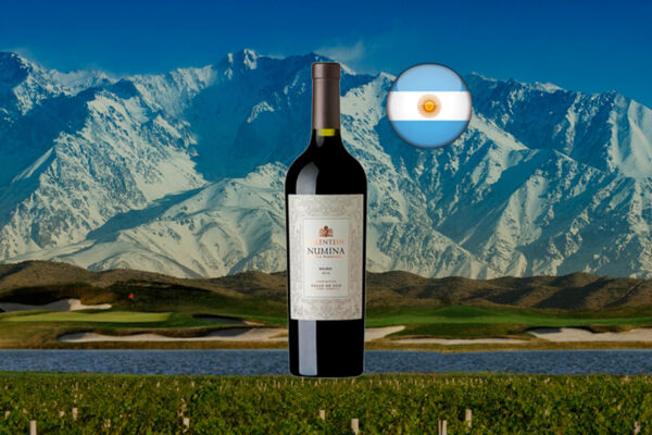 Salentein Numina Malbec 2017 - Thumbnail