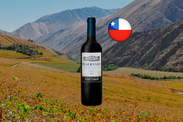 Santiago Reservado Merlot 2019 - Thumbnail