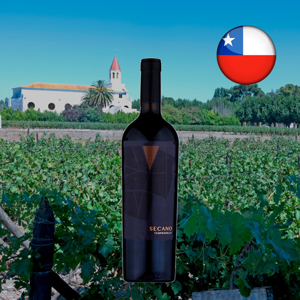 Secano Tempranillo Place Matters 2022 - Oferta