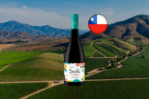 Secreto de Viu Manent Pinot Noir 2023 - Thumbnail