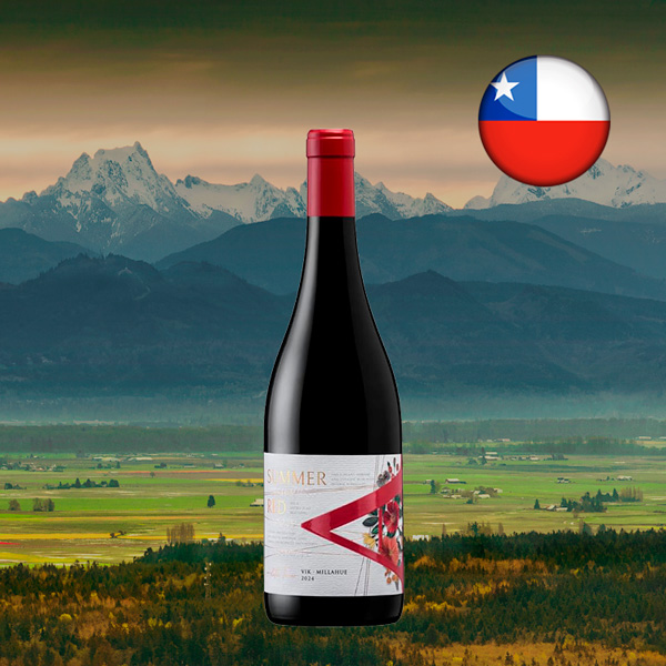 VIK A Cabernet Nouveau 2024 - Oferta
