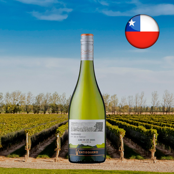 Ventisquero Reserva Chardonnay 2023 - Oferta