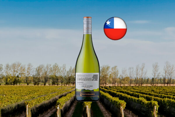 Ventisquero Reserva Chardonnay 2023 - Thumbnail
