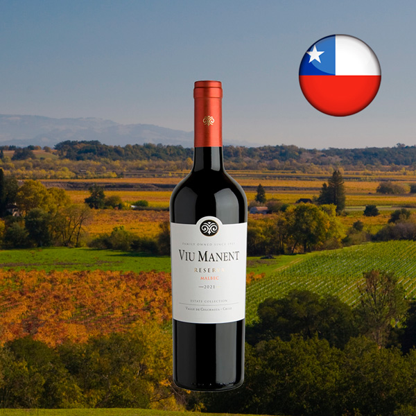 Viu Manent Estate Collection Reserva Malbec 2021 - Oferta