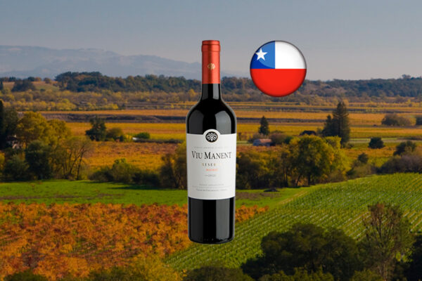 Viu Manent Estate Collection Reserva Malbec 2021 - Thumbnail