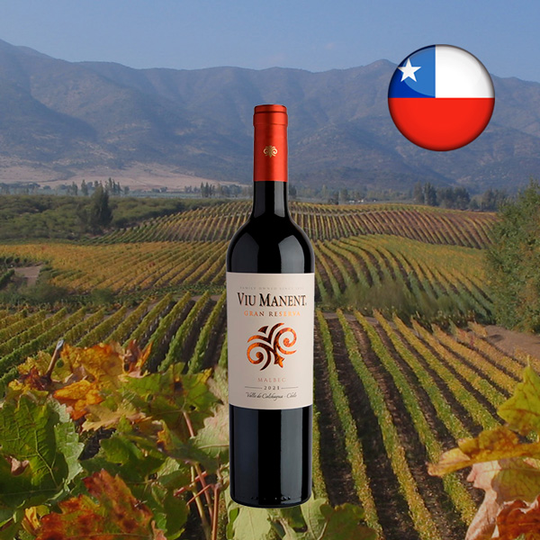 Viu Manent Gran Reserva Malbec 2022 - Oferta