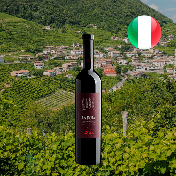 Allegrini La Poja Monovitigno Corvina Veronese IGT 2015 - Oferta