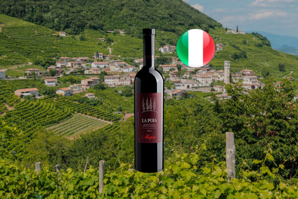Allegrini La Poja Monovitigno Corvina Veronese IGT 2015 - Thumbnail