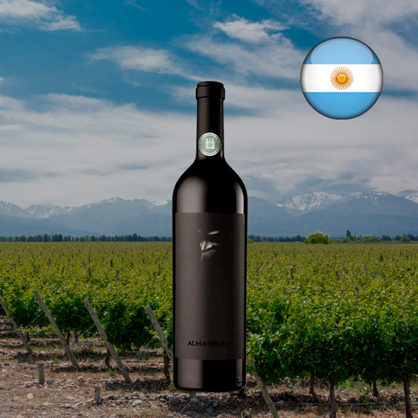 Alma Negra Tinto 2021 - Oferta
