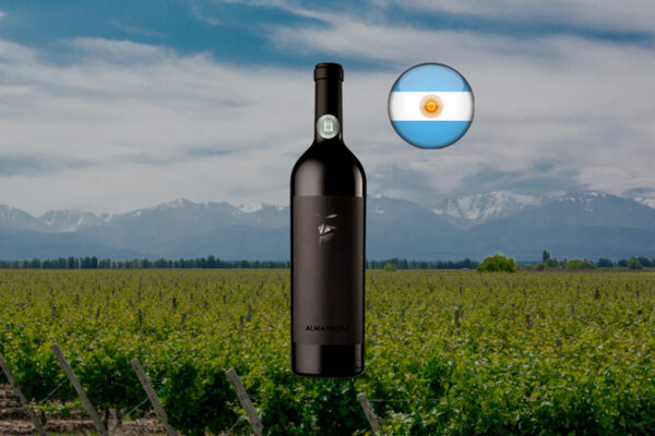 Alma Negra Tinto 2021 - Thumbnail