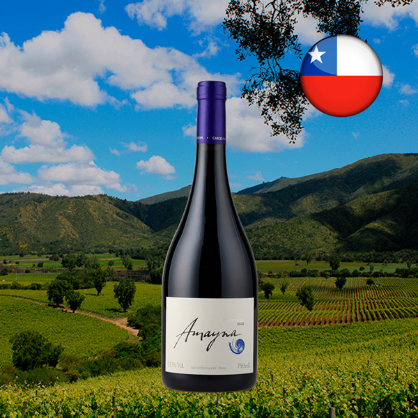 Amayna Pinot Noir 2022 - Oferta