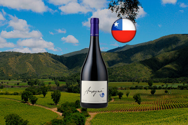 Amayna Pinot Noir 2022 - Thumbnail