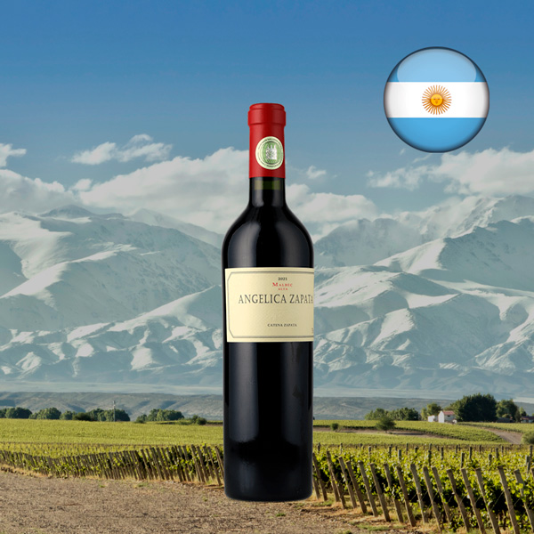 Angelica Zapata Malbec 2021 - Oferta