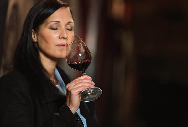 Arboleda Carmenere 2022 - Degustando