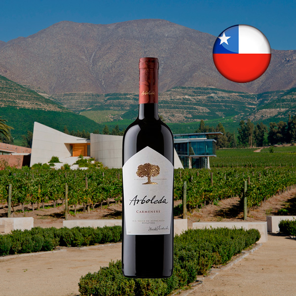 Arboleda Carmenere 2022 - Oferta