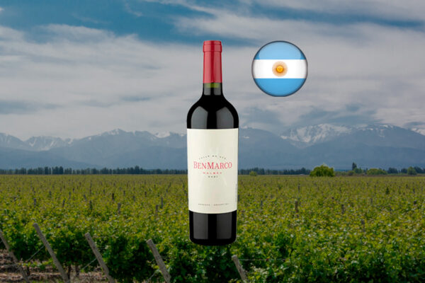 BenMarco Malbec 2021 - Thumbnail