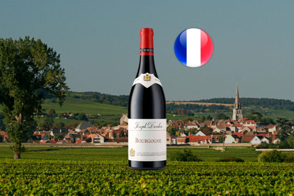 Bourgogne Rouge 2022 - Thumbnail