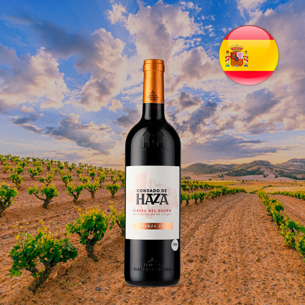 Condado de Haza Crianza 2020 - Oferta