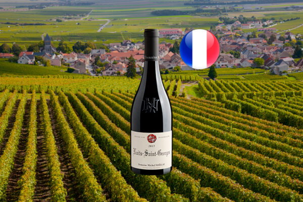 Domaine Michel Noëllat Nuits-Saint-Georges 2017 - Thumbnail