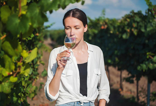 El Enemigo Chardonnay 2023 - Degustando