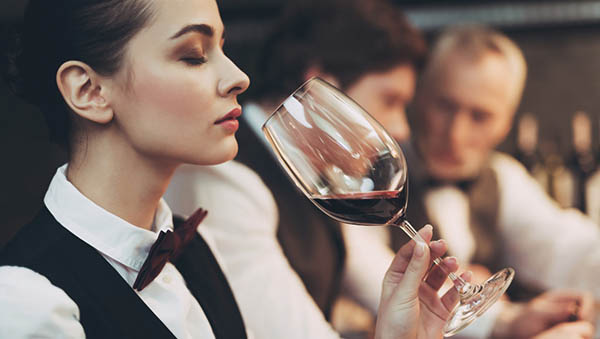 Errazuriz Las Pizarras Syrah 2017 - Degustando