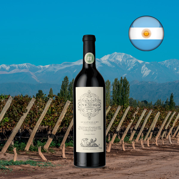 Gran Enemigo Single Vineyard Gualtallary 2020 - Oferta