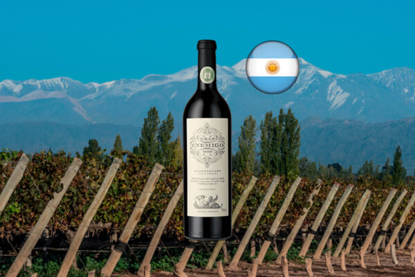 Gran Enemigo Single Vineyard Gualtallary 2020 - Thumbnail